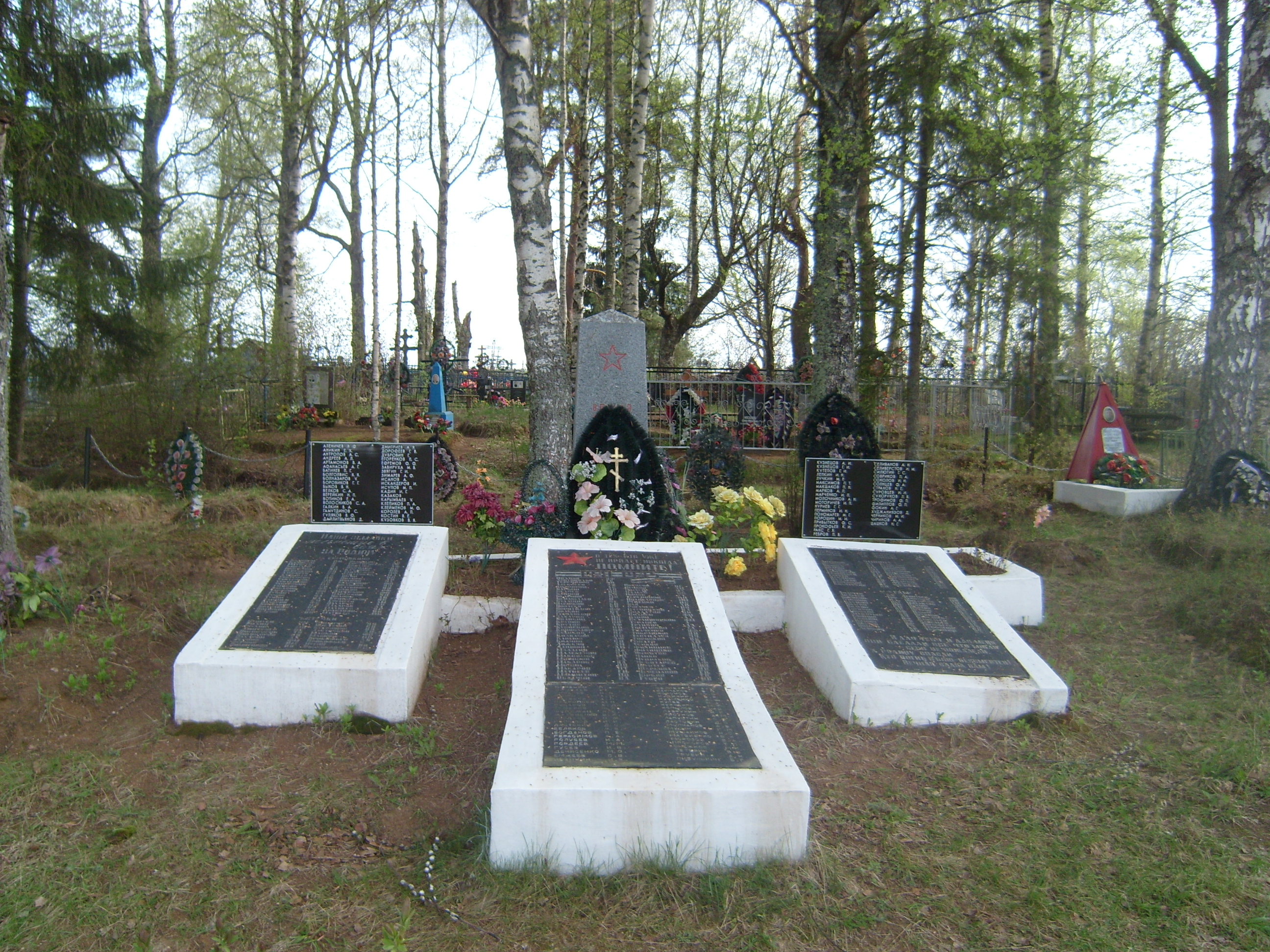 �������� ���� ���������