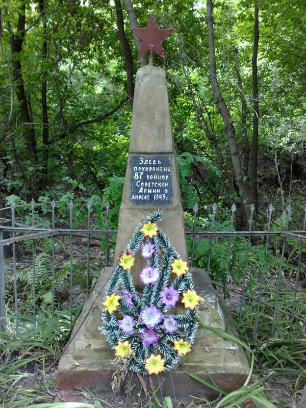 ������� ������� �����������