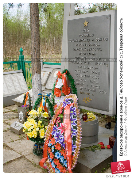 �������� ���� ���������