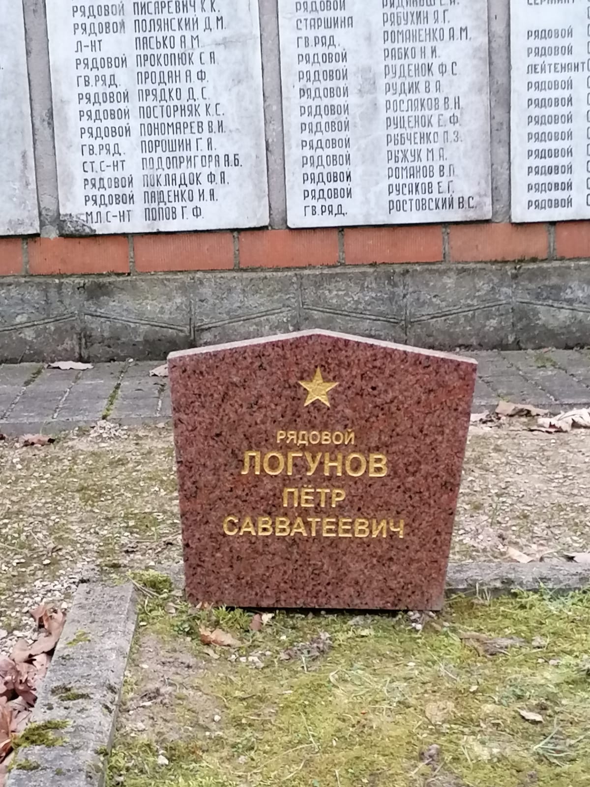 ������� ���� ����������