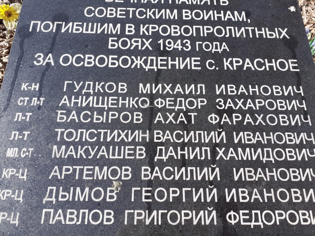 ������ ������ ��������