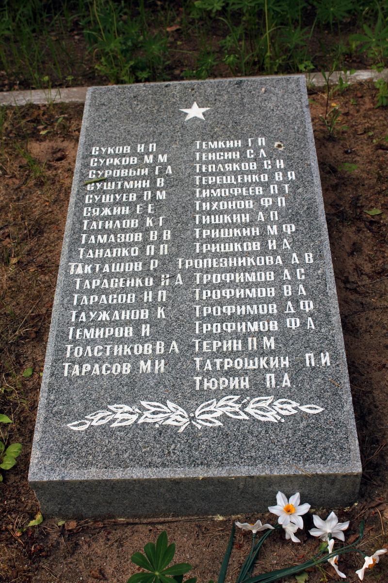 ������ ������ ����������