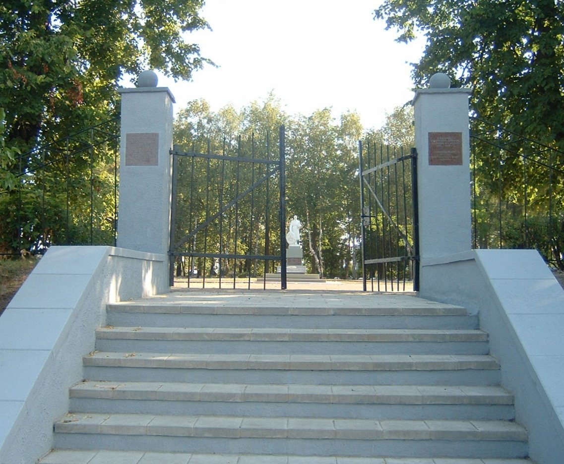 ������ ���� ���������