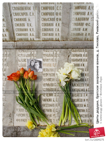 �������� ������� ����������