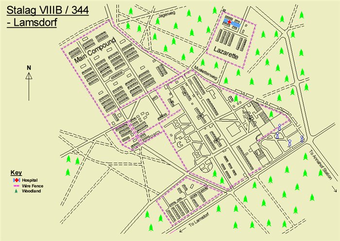 ����� ����� ���������