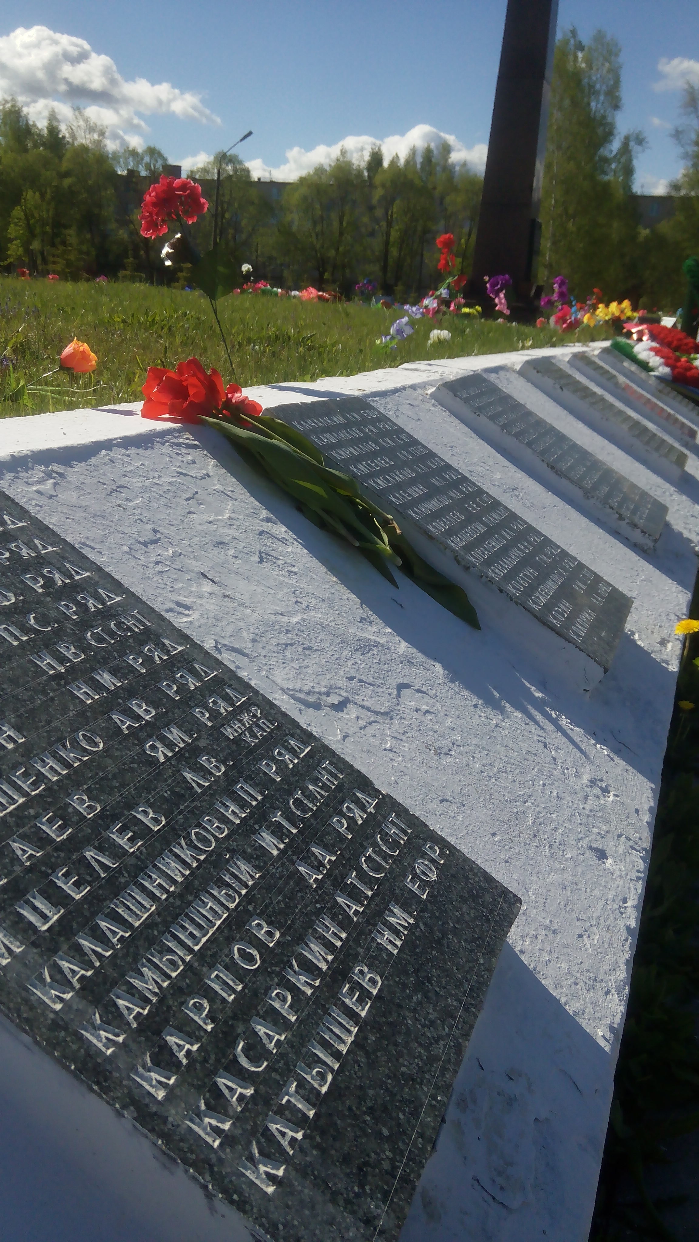 ������ ������ ���������