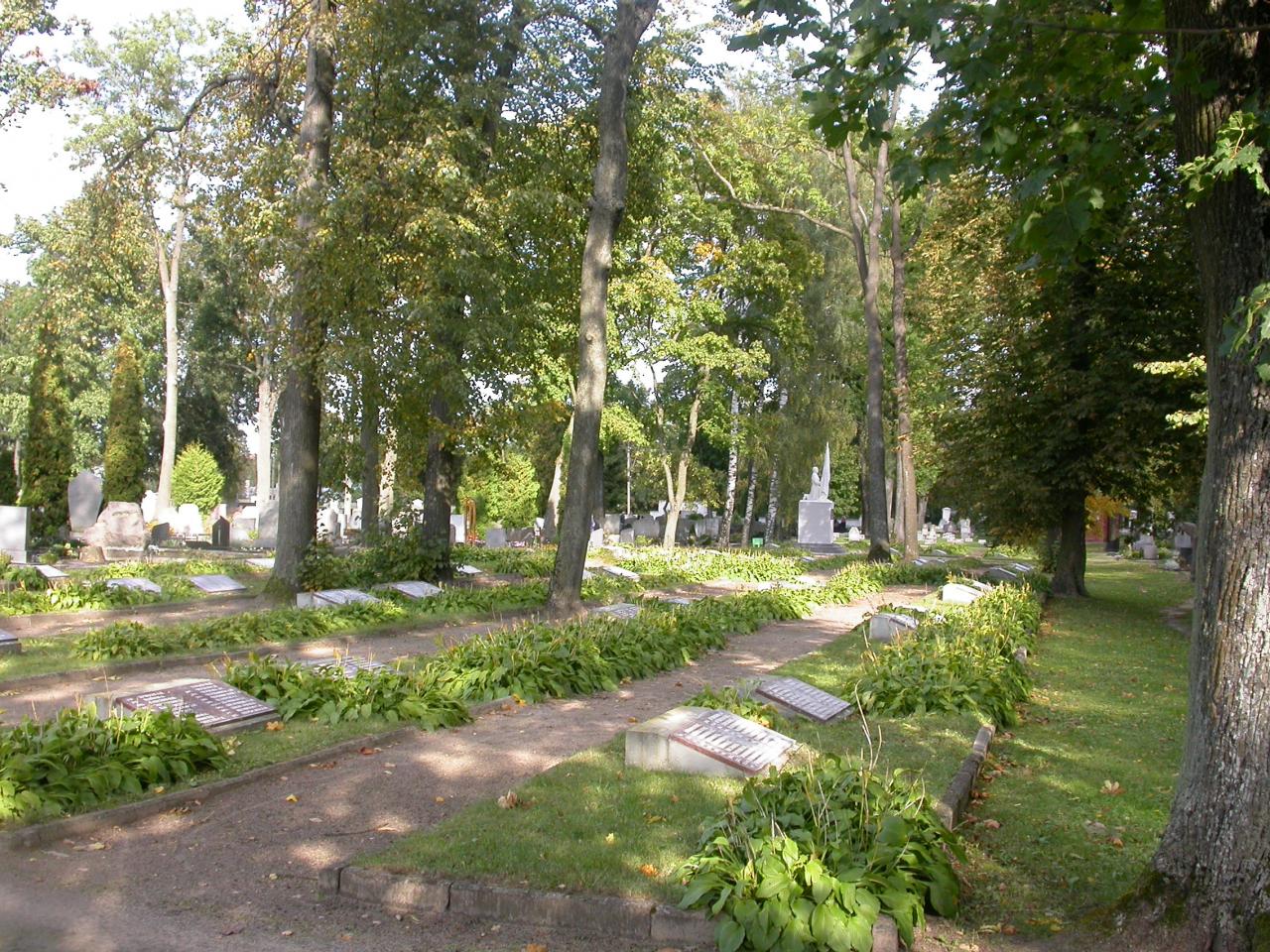 ������� ������� ��������