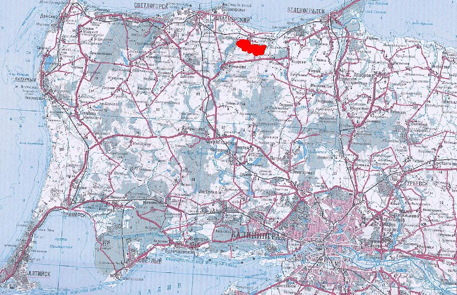 ������ ������ ��������