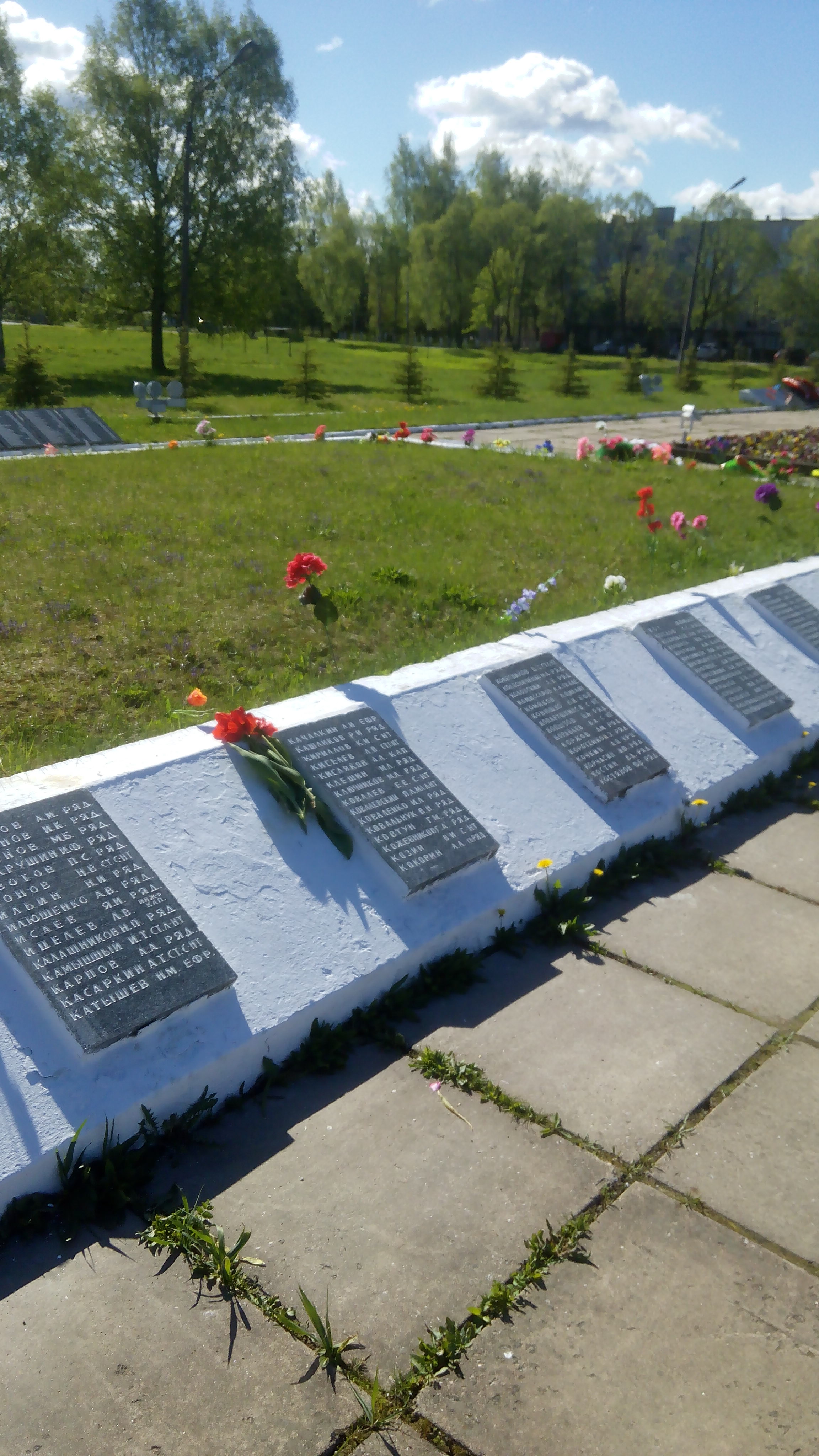 ������ ������ ���������