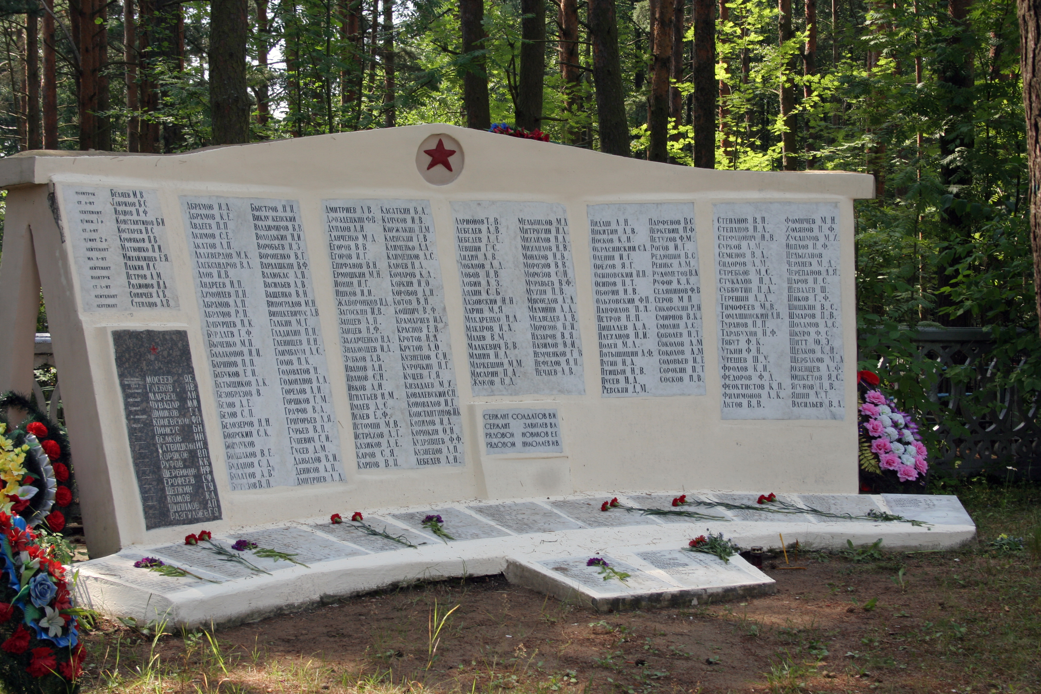 ����������� ������� �������������