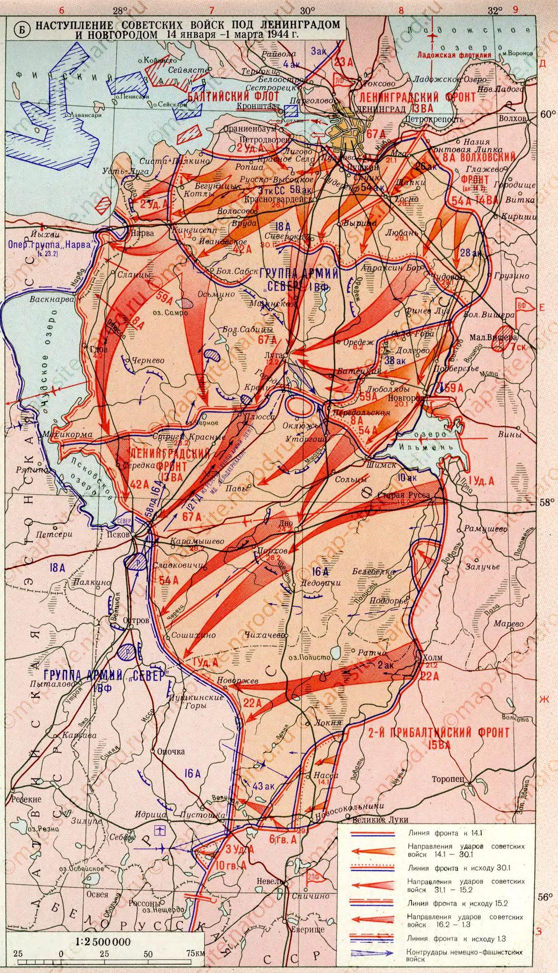 ������� ������� ���������