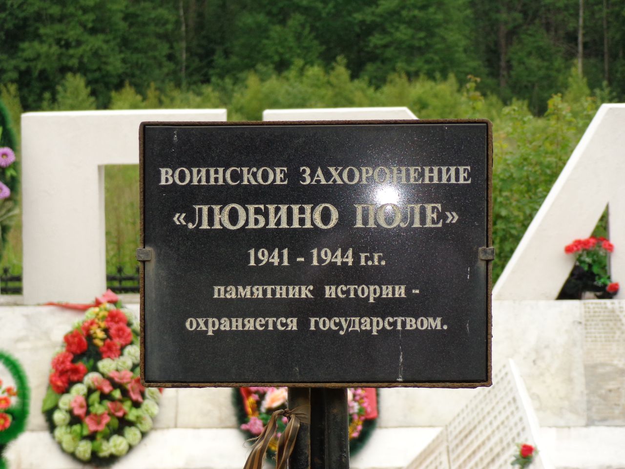 �������� ���� ���������