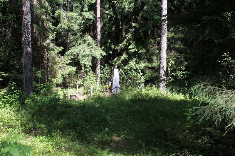 ������ ���� �������������