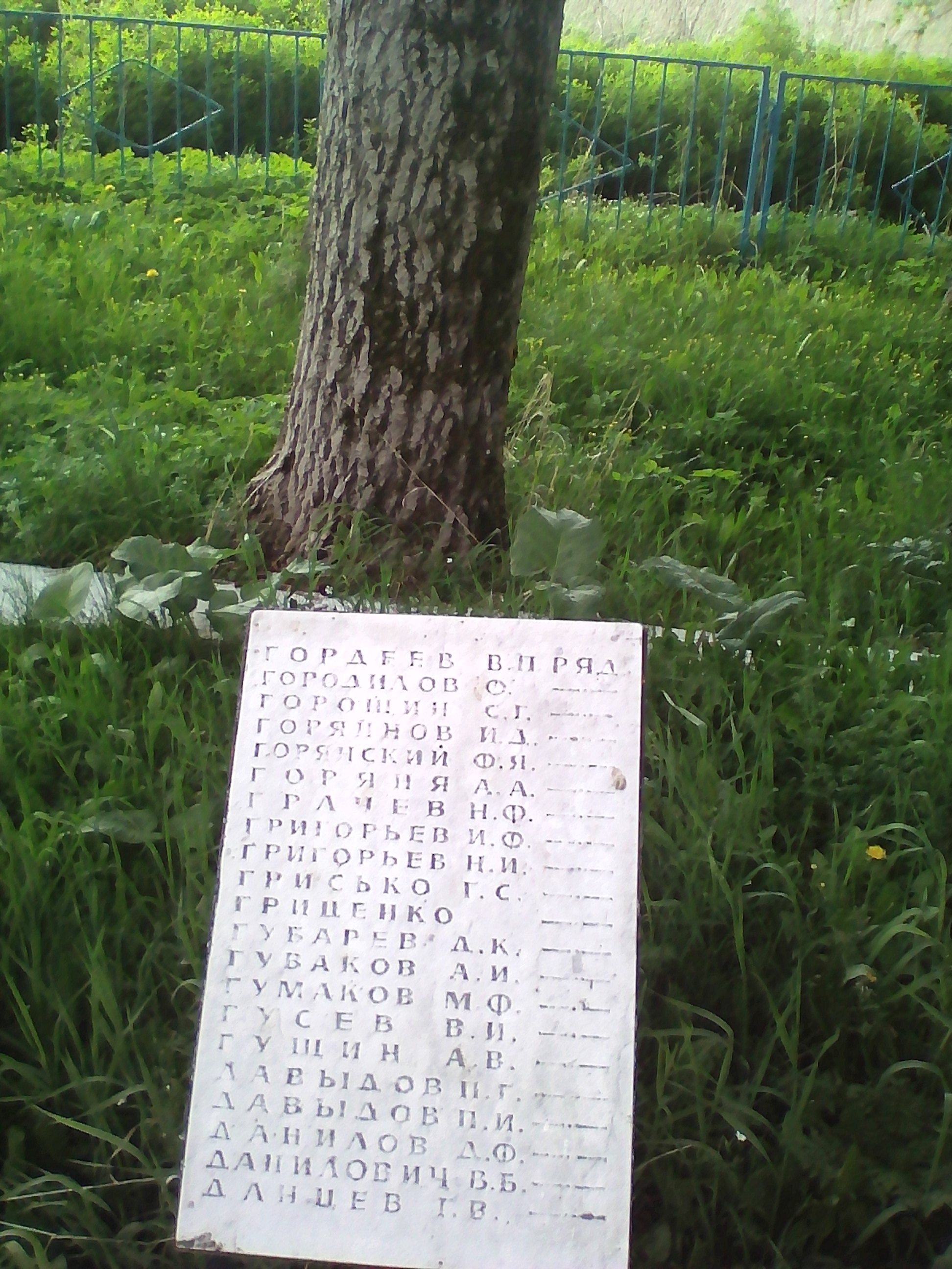 ����� �������� ����������