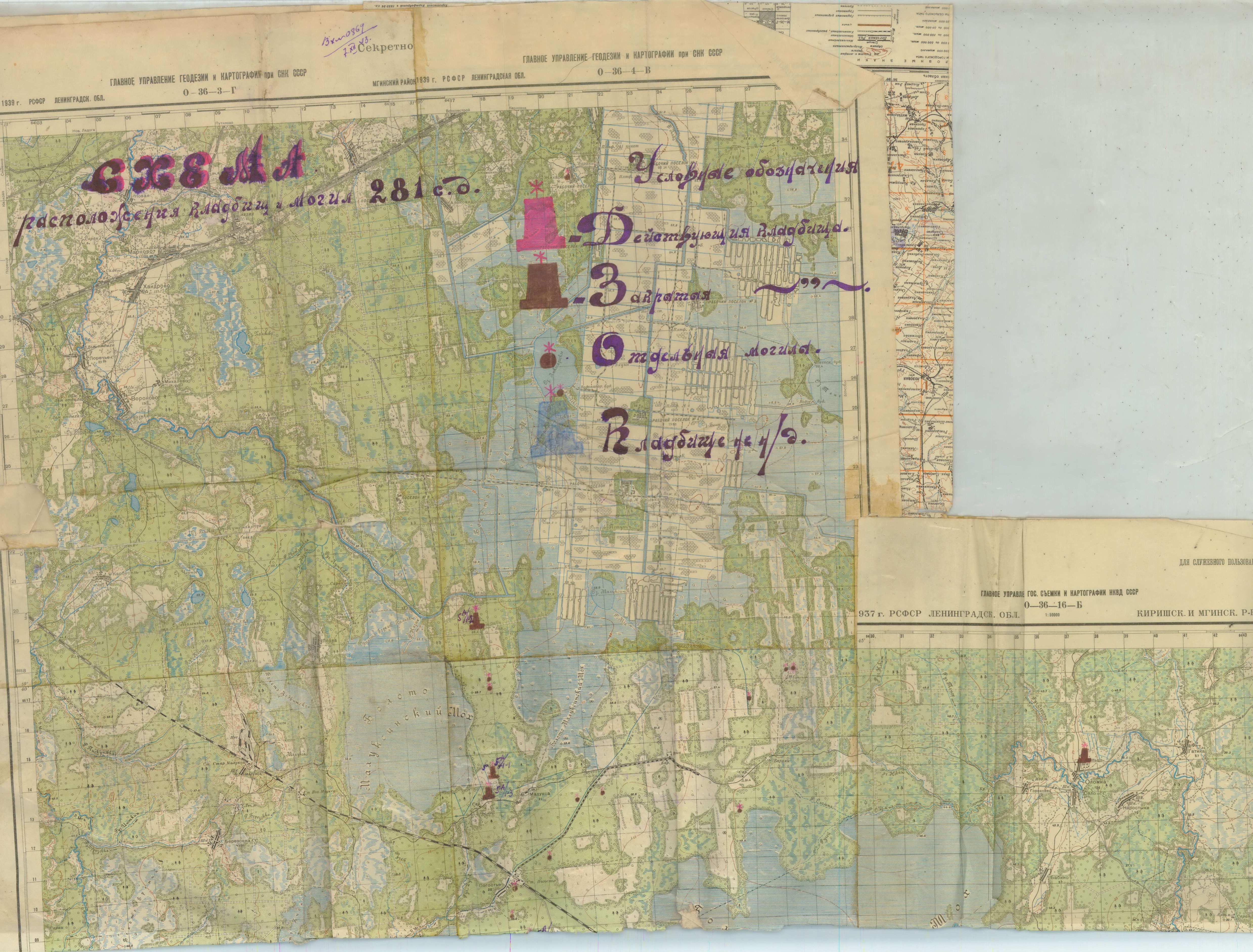 ����������� �������� ���������