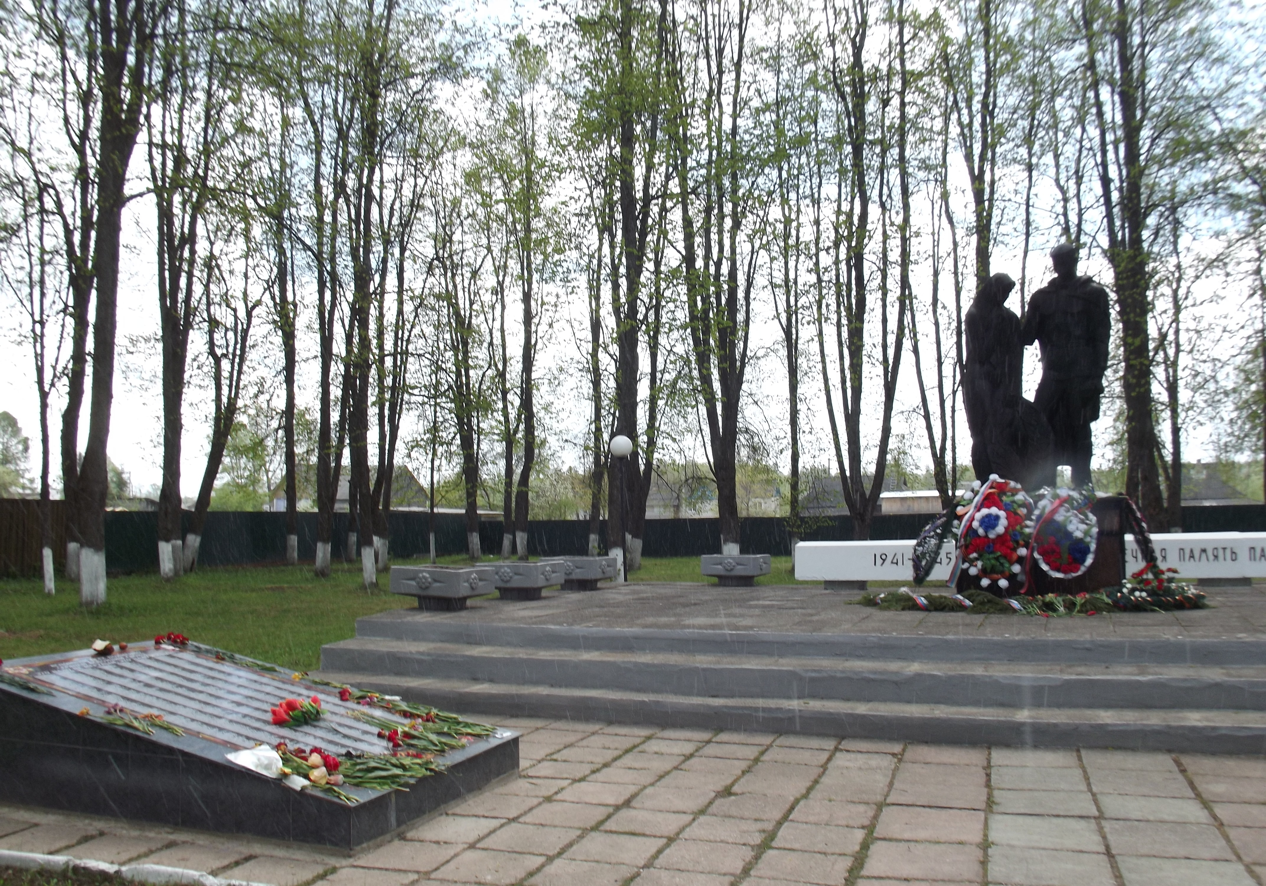 �������� ���� ���������