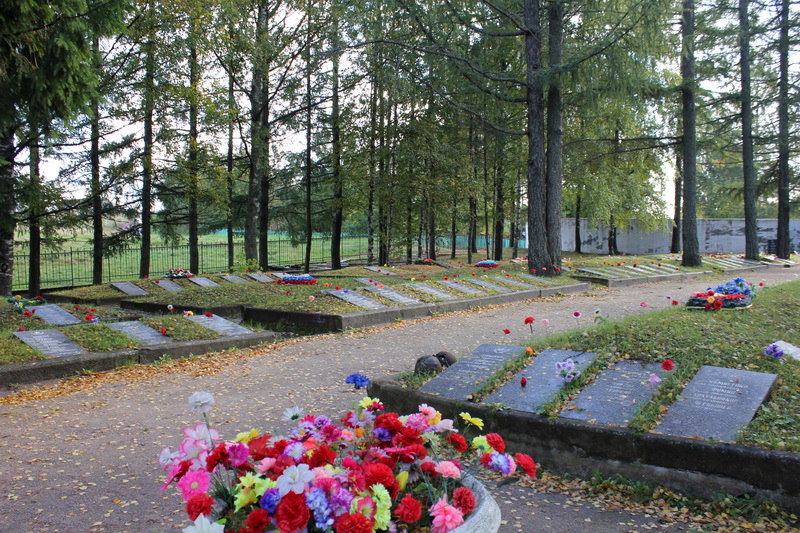 �������� ���� ���������