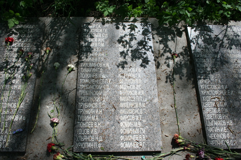 ����� ���� ��������